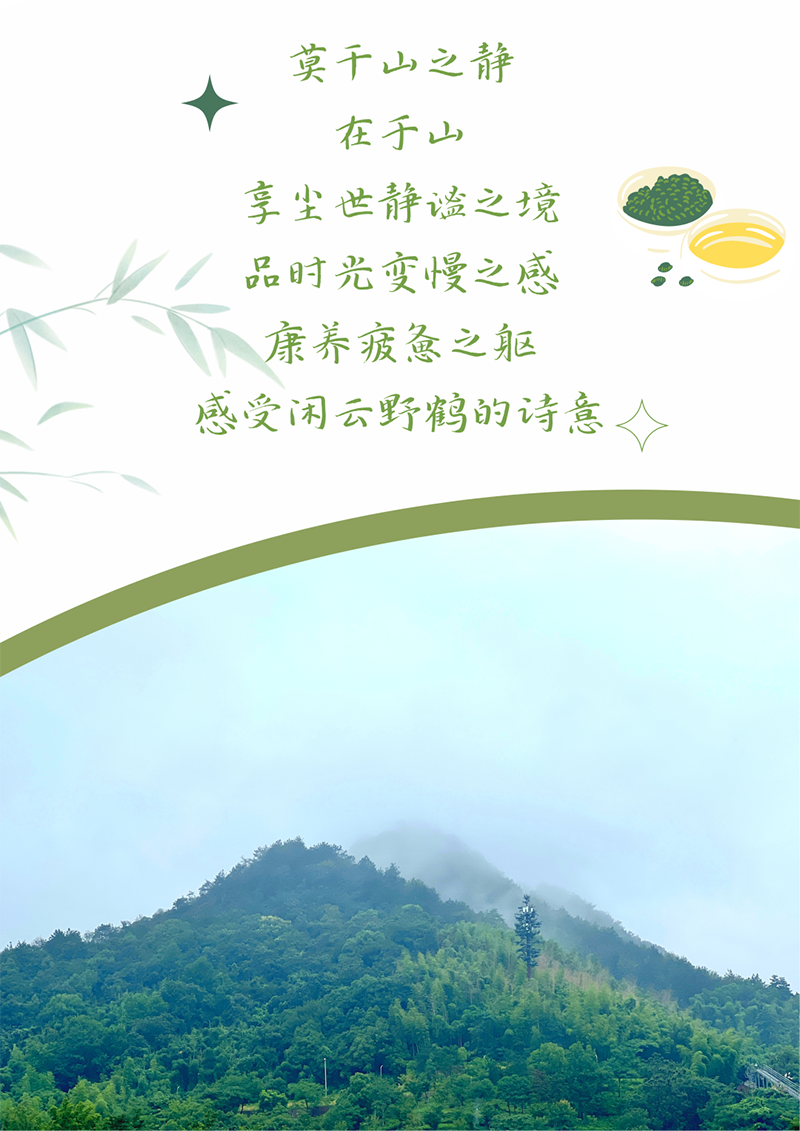 心心念廿 相伴满堂彩 | 与德清相约 贺廿载诞辰