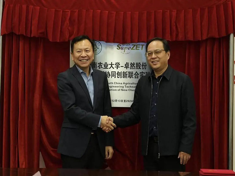 卓er不群 | 追光路上的“立异力”